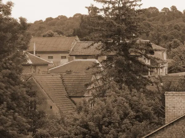 Eski kasabanın küçük bir caddesi. Eski şehrin tarihi kısmı. Eski kasabanın tarihi merkezi. Eski, yerleşim yeri, köy evi. Eski kasabanın kenar mahalleleri.          