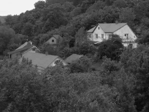 Ukrayna köyündeki ahşap ev. Ormanın kıyısındaki köy. Eski harap ev            