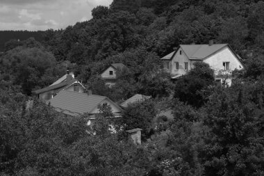 Ukrayna köyündeki ahşap ev. Ormanın kıyısındaki köy. Eski harap ev