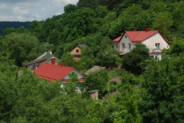 Ukrayna köyündeki ahşap ev. Ormanın kıyısındaki köy. Eski harap ev