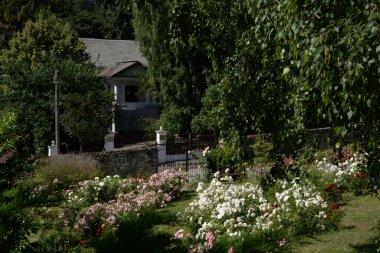Göletin üzerine park et. Eski kasabanın küçük bir caddesi.. 