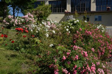 Göletin üzerine park et. 