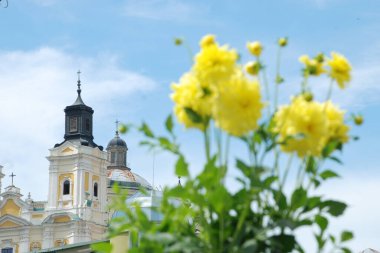 Eski kentin tarihi kısmı. Garden dahlia, pinnata (Dahlia pinnata veya D. pinnata), Asteraceae (Asteraceae) familyasından bir bitki türüdür.).