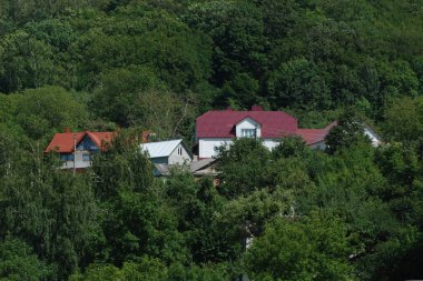 Ukrayna köyündeki ahşap ev. Ormanın kıyısındaki köy. Eski harap ev