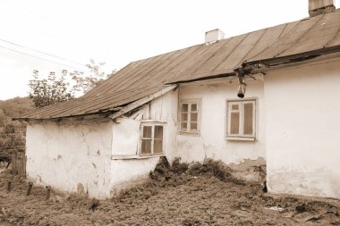 Ukrayna köyündeki ahşap ev. Ormanın kıyısındaki köy. Eski harap ev 