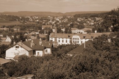 Eski kasabanın tarihi kısmı. Ukrayna köyünde ahşap bir ev. Ormanın kıyısındaki köy. Eski harap ev