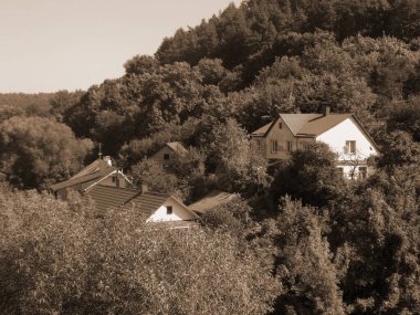 Ukrayna köyündeki ahşap ev. Ormanın kıyısındaki köy. Eski harap ev          