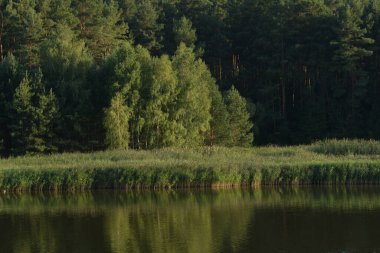 Ikva Nehri, Styr 'ın (Dinyeper Havzası) sağ koludur.)