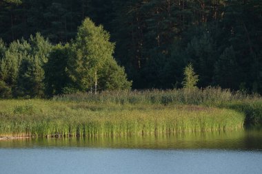 Ikva Nehri, Styr 'ın (Dinyeper Havzası) sağ koludur.)