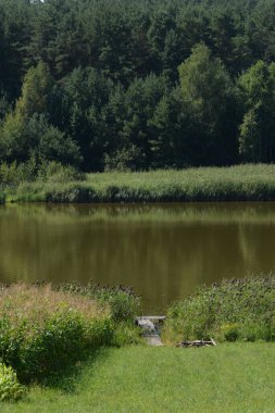  Kva Nehri, Styr 'ın (Dinyeper havzasının) sağ koludur. Sessiz köşe güzel doğa. Eski kozalaklı orman.