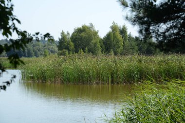 Ikva Nehri, Styr 'ın (Dinyeper Havzası) sağ koludur.) 