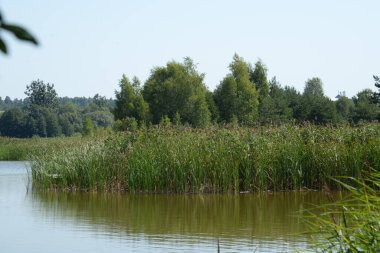 Ikva Nehri, Styr 'ın (Dinyeper Havzası) sağ koludur.) 