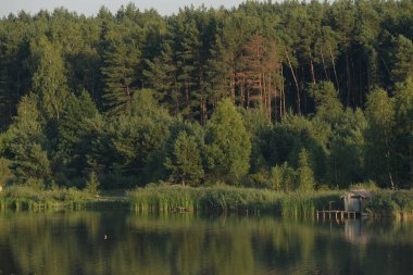 Ikva Nehri, Styr 'ın (Dinyeper havzasının) sağ koludur. Sessiz köşe güzel doğa. Eski kozalaklı orman. 