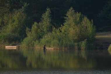 Ikva Nehri, Styr 'ın (Dinyeper havzasının) sağ koludur. Sessiz köşe güzel doğa. Eski kozalaklı orman.