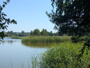 Ikva Nehri, Styr 'ın (Dinyeper Havzası) sağ koludur.) 