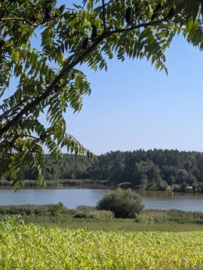 Ikva Nehri, Styr 'ın (Dinyeper havzasının) sağ koludur. Sessiz köşe güzel doğa. Eski kozalaklı orman.