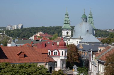 Eski kasabada Noel ağacı. Noel ağacı, eski kasaba.