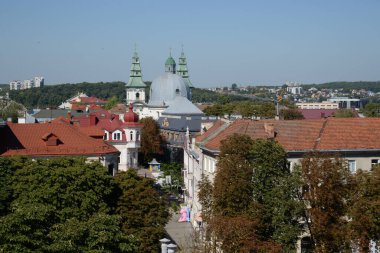 Eski kasabada Noel ağacı. Noel ağacı, eski kasaba.