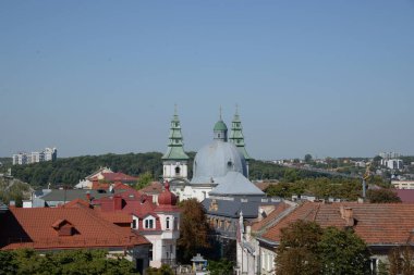 Eski kasabada Noel ağacı. Noel ağacı, eski kasaba.