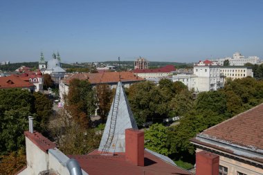 Eski kasabada Noel ağacı. Noel ağacı, eski kasaba.