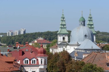 Eski kasabada Noel ağacı. Noel ağacı, eski kasaba.