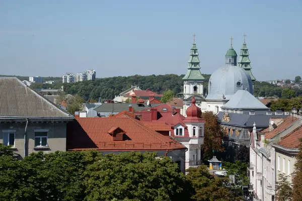 Eski kasabada Noel ağacı. Noel ağacı, eski kasaba.