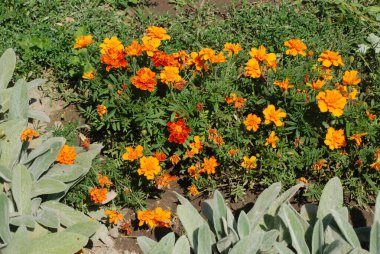 Castle Hill 'in genel manzarası 