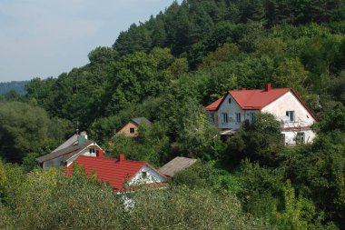 Ukrayna köyündeki ahşap ev. Ormanın kıyısındaki köy. Eski harap ev