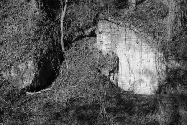 Fort in the village of Cockroaches 