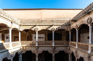 Salamanca, İspanya - 14 Ocak 2022: Casa de las Conchas, İspanya 'nın orta kesimindeki Salamanca kentinde bulunan tarihi bir binadır. Şu anda bir halk kütüphanesi barındırıyor