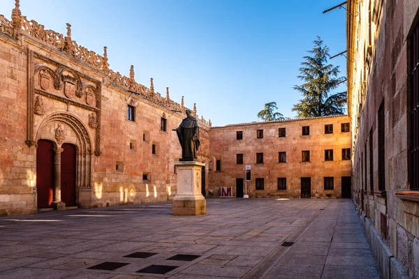 stock image Salamanca, Spain - January 14, 2022: The University of Salamanca. The oldest university in Spain. Patio of Escuelas and Fray Luis de Leon statue