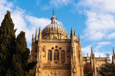Salamanca Katedrali 'nin manzarası. Alçak açı Castilla Leon, İspanya.