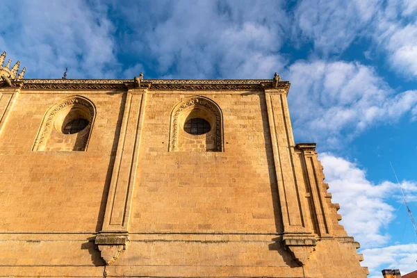 Detail Van Gevel Van Kathedraal Van Salamanca Castilla Leon Spanje — Stockfoto