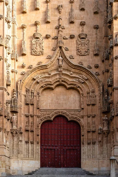 Side door of the cathedral formed by an ogee arch in plateresque style. Salamanca. Castilla Leon, Spain.