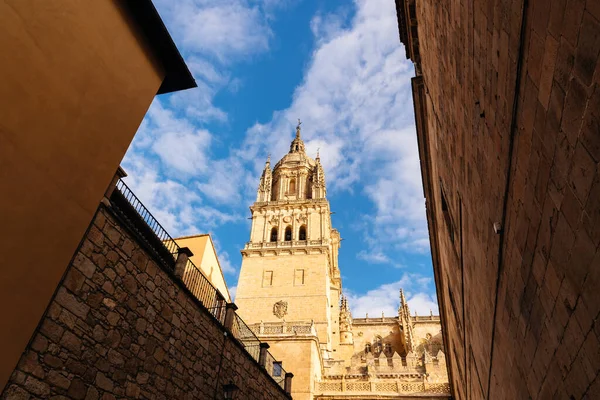 Landschappelijk Uitzicht Kathedraal Van Salamanca Low Angle Viewcastilla Leon Spanje — Stockfoto