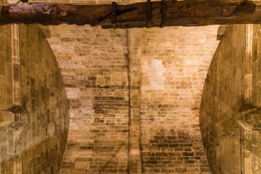 Salamanca, İspanya - 14 Ocak 2022: Salamanca Katedrali. Fıçı kasasının iç görünümü