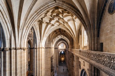 Salamanca, İspanya - 14 Ocak 2022: Salamanca Katedrali. Sahil ve mahzenlerin iç manzarası