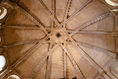 Salamanca, İspanya - 15 Ocak 2022: Salamanca Katedrali. Mahzenlerin iç görünümü