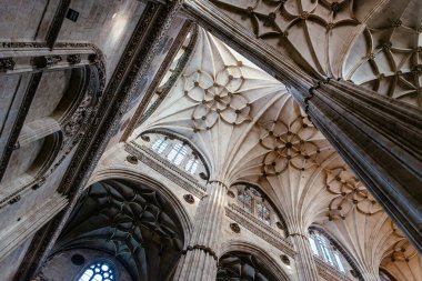 Salamanca, İspanya - 15 Ocak 2022: Salamanca Katedrali. Mahzenlerin iç görünümü