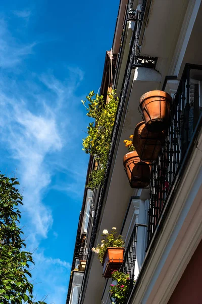 Street in historic center of Madrid, Traditional iron balcony with pots hanging from the railing