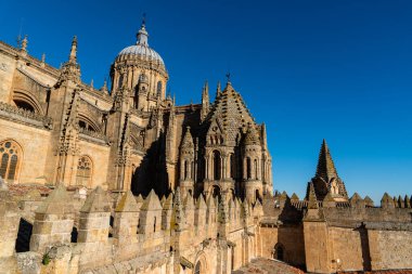View of the roofs and dome of the Old Cathedral of Salamanca a blue sky day. Castilla y Leon, Spain