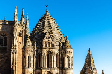 Eski Salamanca Katedrali 'nin dış görünüşü mavi bir gökyüzü günü. Castilla y Leon, İspanya