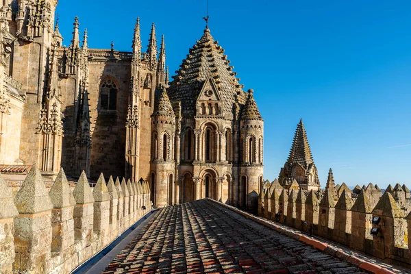View of the roofs and dome of the Old Cathedral of Salamanca a blue sky day. Castilla y Leon, Spain