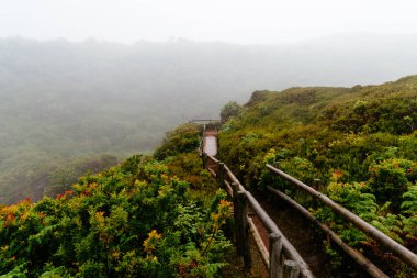 Enxofre 'ye giden yol yazın sisli bir günüdür. Terceira Adası, Azores, Portekiz