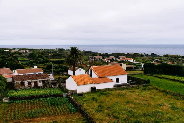 特西拉岛的传统乡村风景是夏天多云的一天 在与海洋相对的绿色环境中 多云的小房子 — 图库照片
