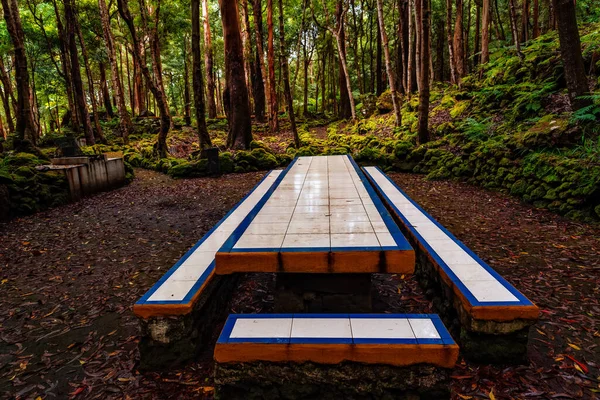 Benches and picnic tables Recreation area in the Mata da Serreta Forest Reserve in Terceira Island, Azores, Portugal. Benches
