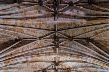 Zamora, İspanya - 7 Nisan 2023: San Pedro y San Ildefonso Kilisesi 'nin iç manzarası. Doğrudan kasaların görüş alanının altında.