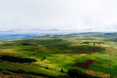 Terceira Adası 'ndaki geleneksel kırsal arazinin panoramik hava manzarası yazın güneşli bir günü. Azores, Portekiz. Arazi havadan görünüyor. Manzarayı, yeşili, ekini, tarımı içerir