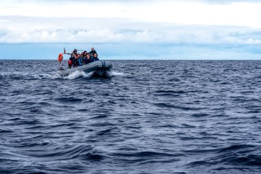 Ponta Delgada, Portekiz - 6 Temmuz 2022: Balina ve Yunuslar Sao Miguel Adası, Azores 'de tekne gözlüyor