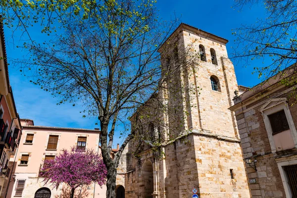 Зовнішній Вигляд Церкви Сан Педро Сан Ільдефонсо Заморі Іспанія — стокове фото